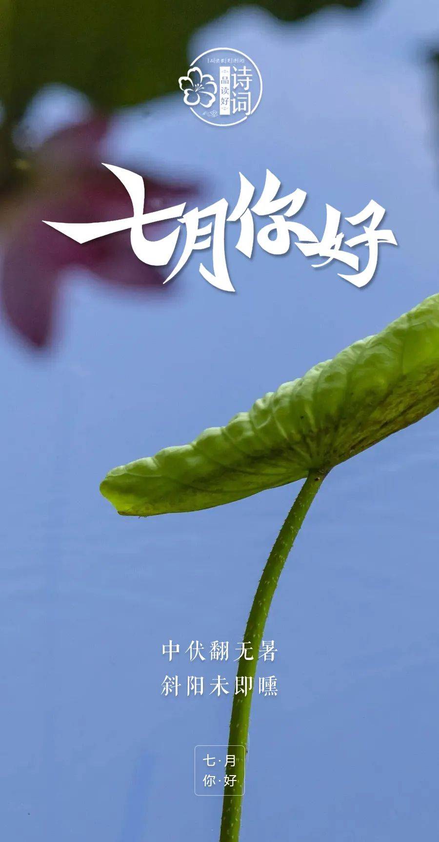 原创美文美图七月你好让我们一起成为更好的自己