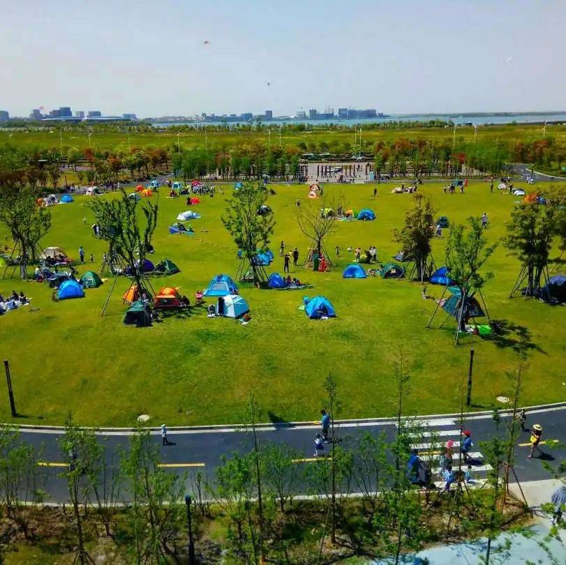 炎炎盛夏去哪里避暑？快来看看上海这十大『宝藏露营地』
