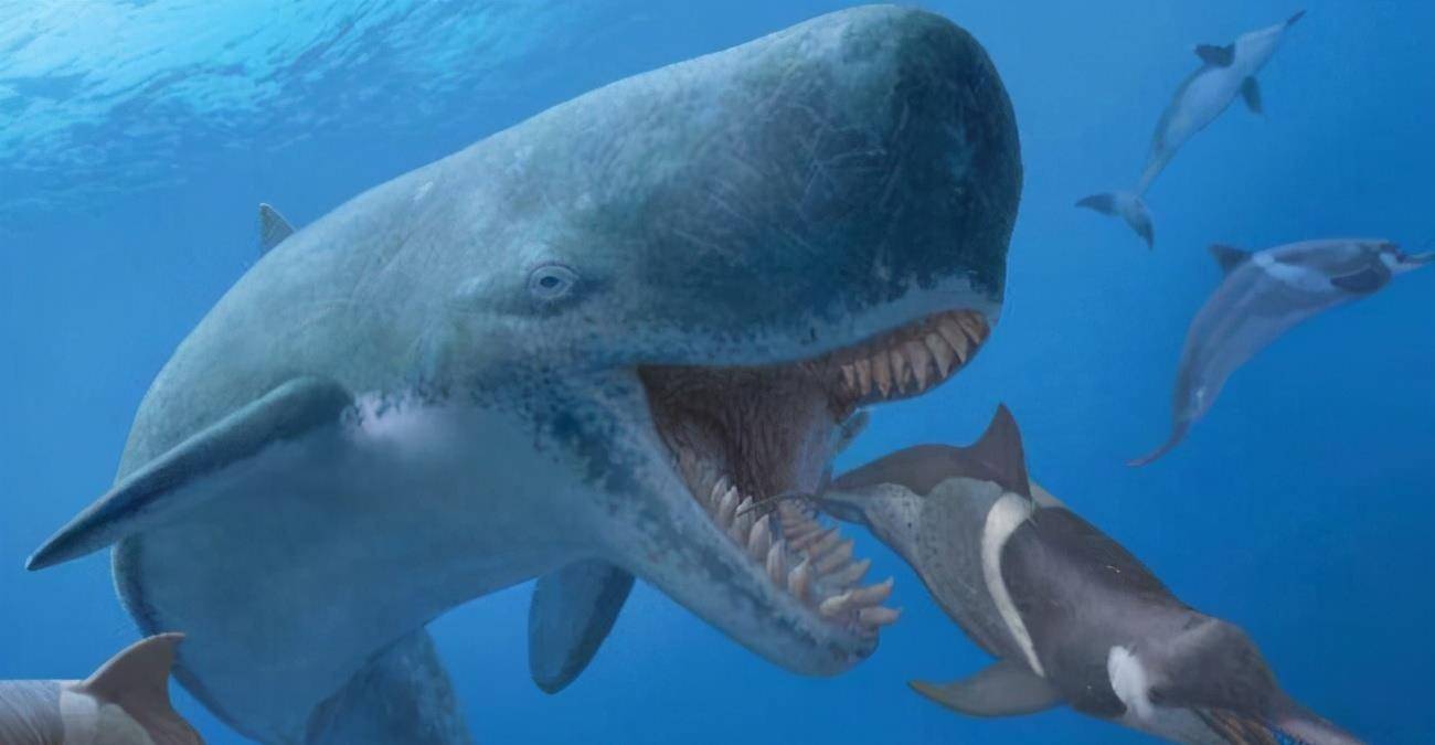 史前深海中拥有哪些巨兽呢谁又是真正的远古海洋霸主