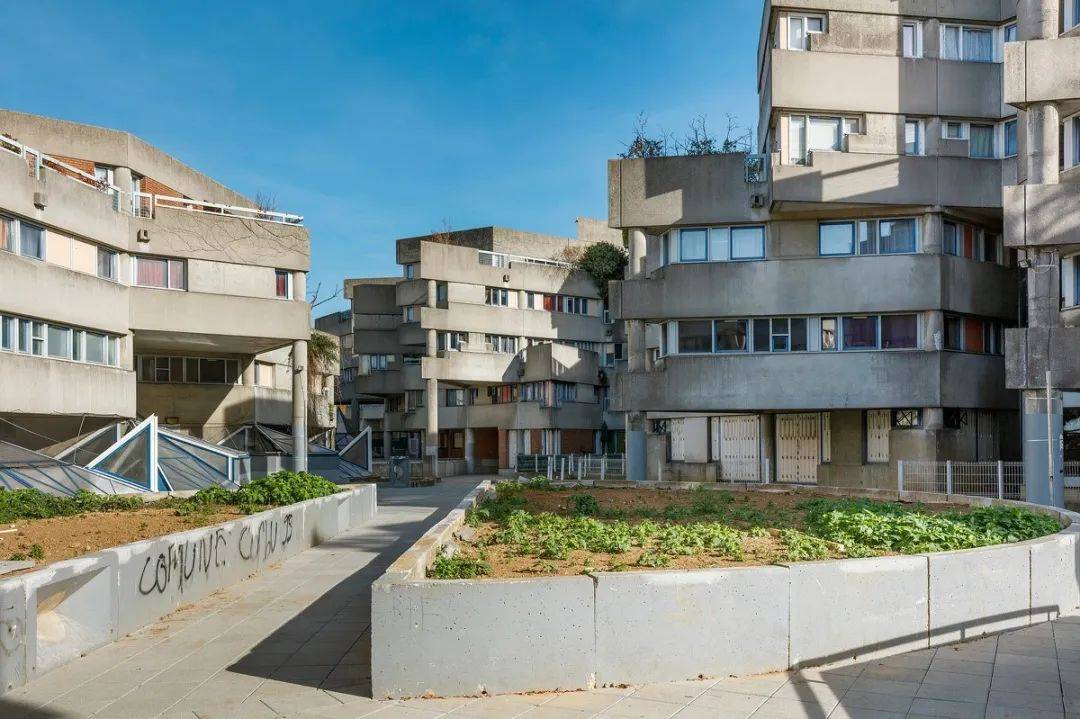 英国皇家学院建筑奖获得者renéegailhoustet在水泥盒子上种树
