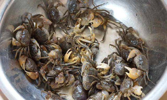 【香酥炸小蟹】石棱子蟹22个,鸡蛋一个,料酒一茶匙,盐1.