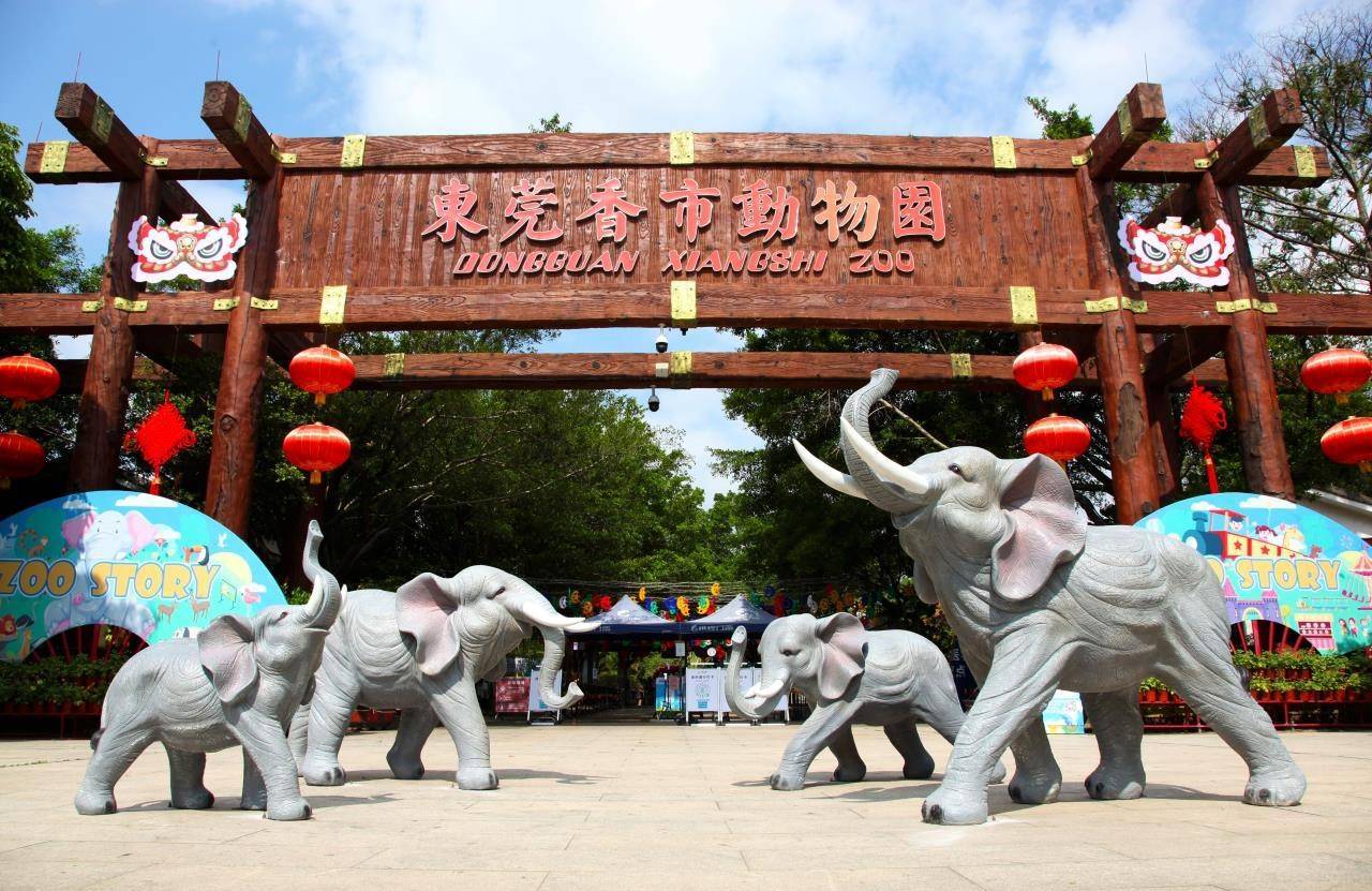 0769-83067003,13430804377自驾线路:导航至"东莞香市动物园"即可
