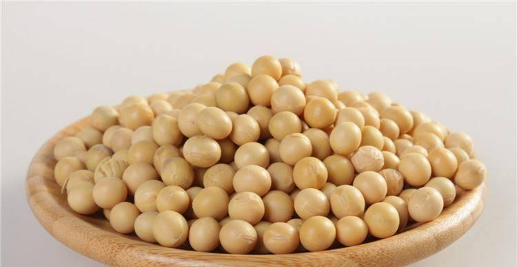 黄豆对人体有11种功效你知道吗？美白护肤抗三高，提高人体免疫力