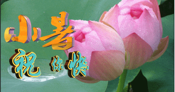 2022小暑节气非常漂亮的早上好图片 小暑节气创意好的早安问候祝福