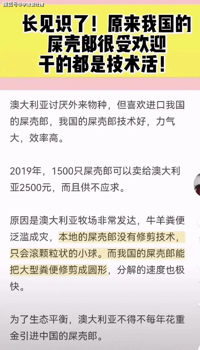 原创
“以为致敬周杰伦模特屁股…”哈哈哈求求你们把照片删了!