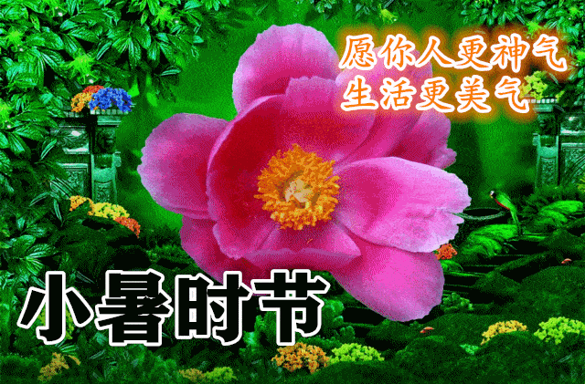 9张小暑非常好看的早安问候图片精选 夏天清晨早上好问候图片鲜花带字