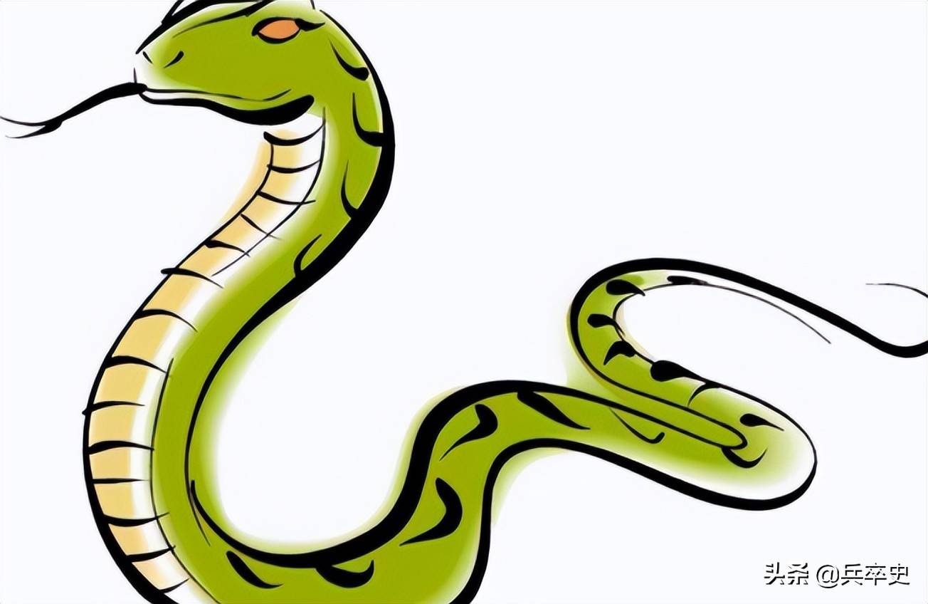 原创1996年海南巨蟒为报恩甘当保镖与主人同眠还能抓小偷