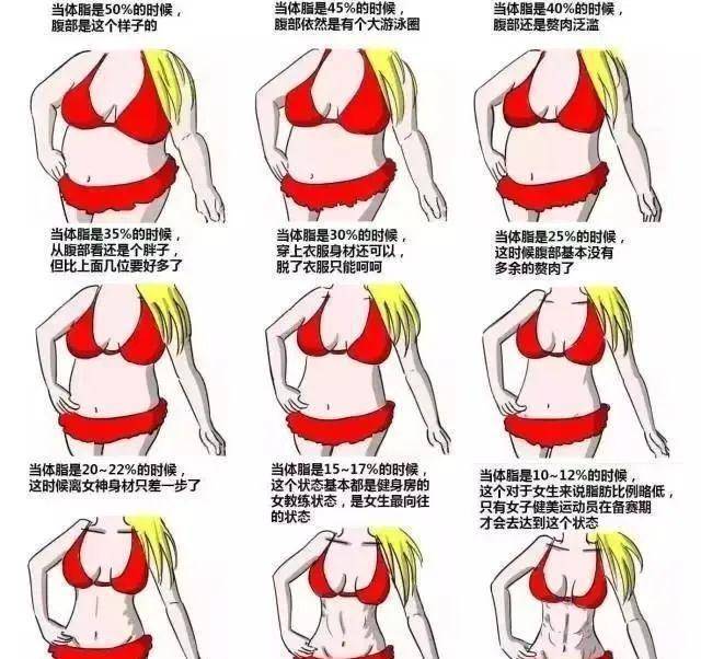 下图是女性体脂率和体型对照图:因为大部分人的腹部是最容易囤积脂肪
