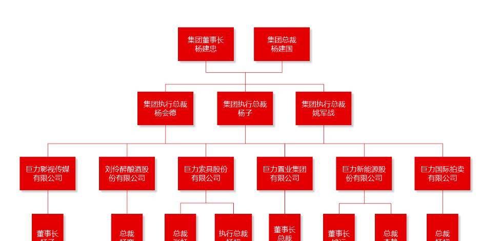 巨力集团人物关系图图片