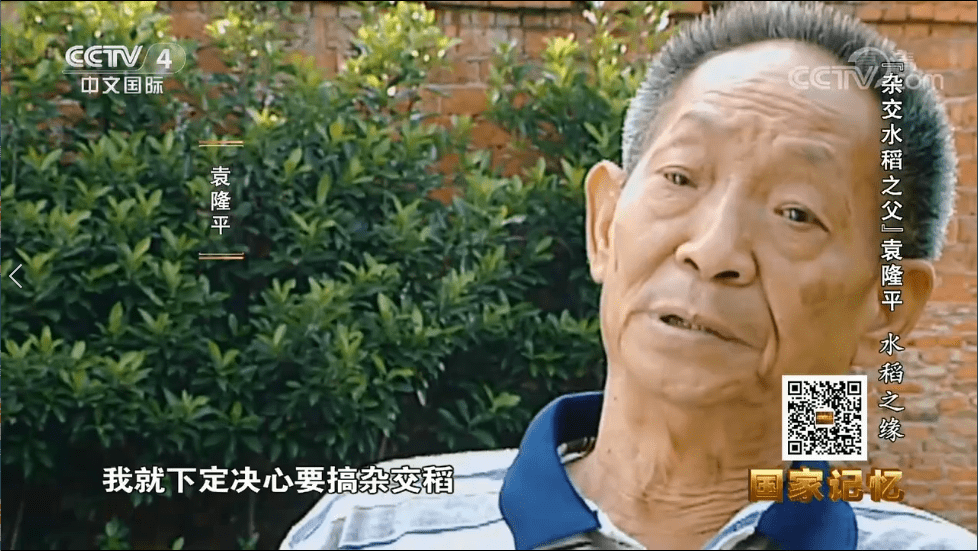 CCTV《“杂交水稻之父”袁隆平》第一集《水稻之缘》及其背后的故事