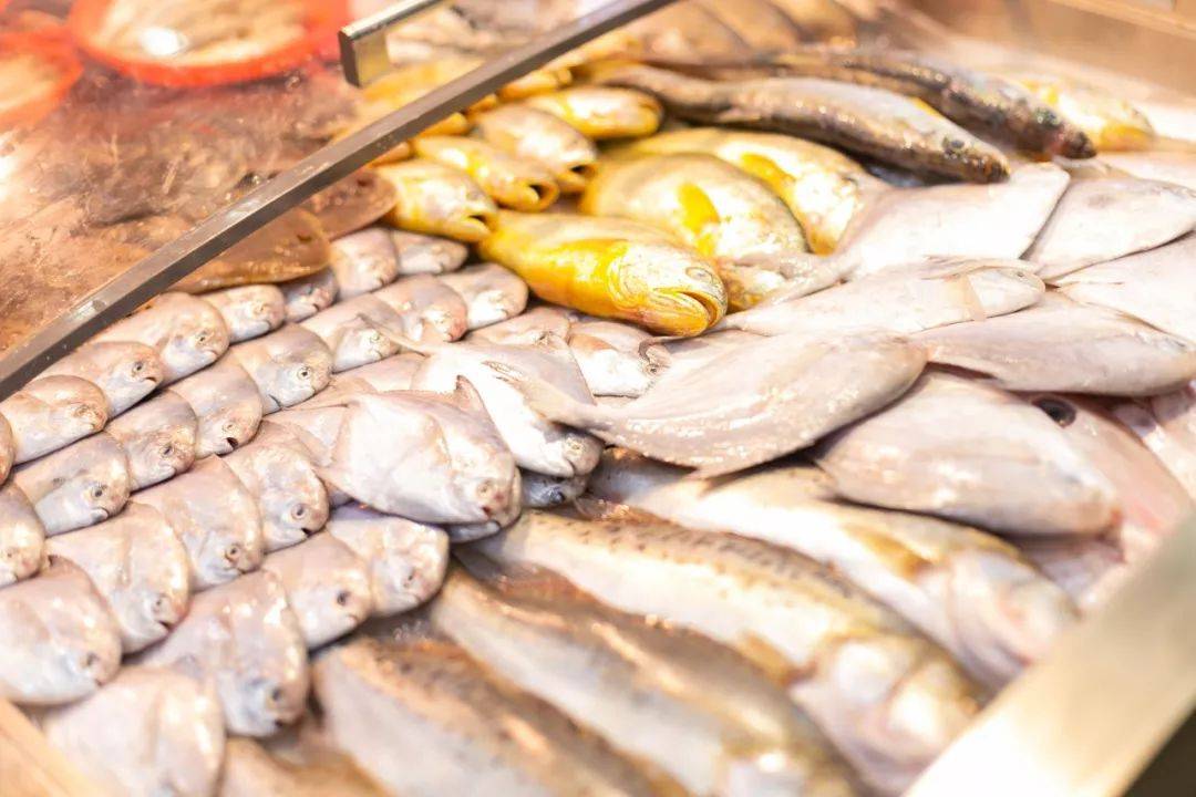 最美滩涂沙滩日落海鲜管饱秋天看海的乐趣都藏在霞浦这座小城里