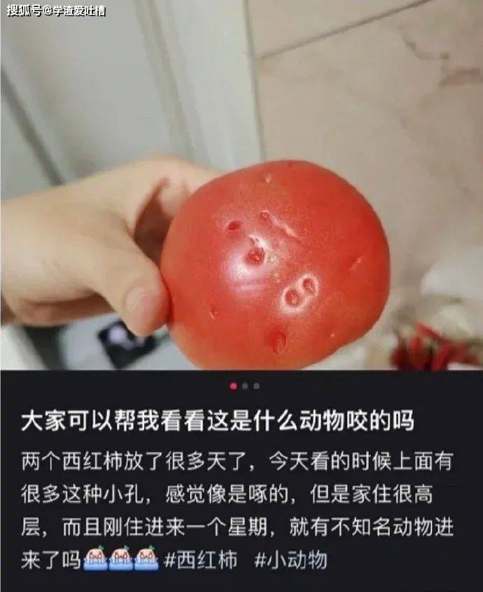 “拼夕夕还卖专属男士隆胸的?重点是,已拼1.1万件...”