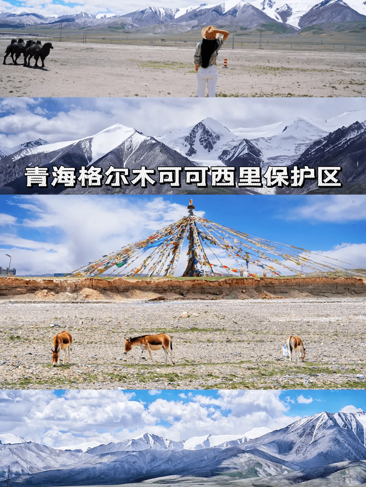 这个夏天很酷，雪山高原，峡谷秘境，自驾格尔木6天5晚深度攻略