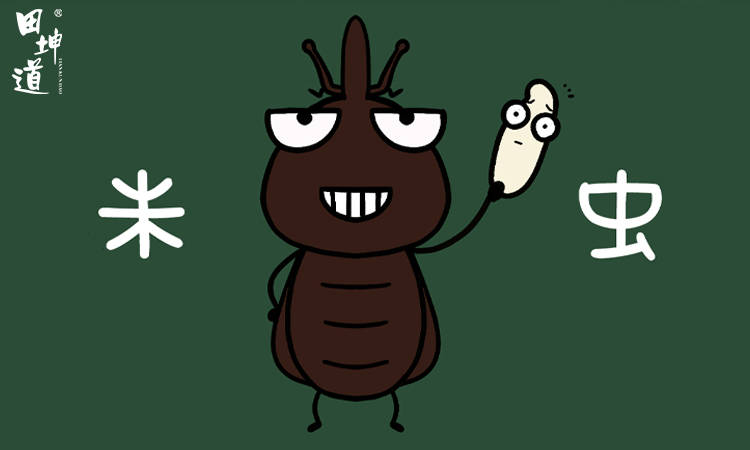 驱虫_米虫_密封