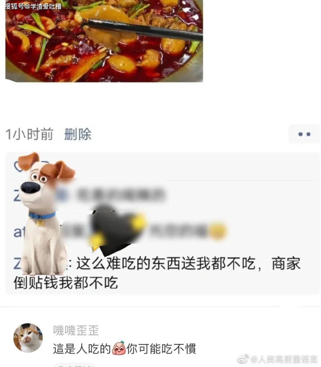 “你的照片好骚啊?!”网友回怼居然这么精彩…