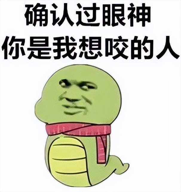 原创罕见十堰发现剧毒白头蝰蛇至今无蛇毒血清它究竟有何特殊