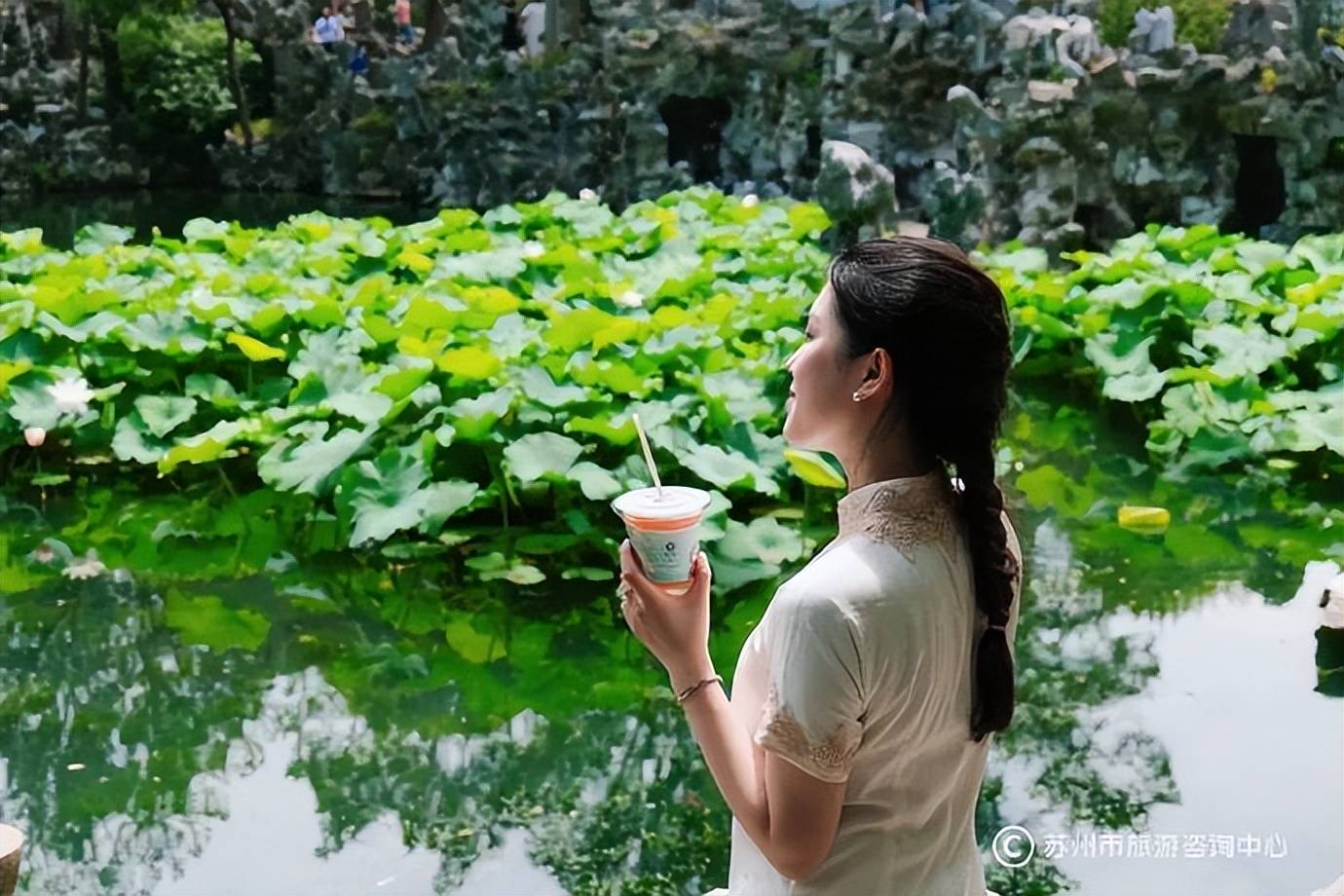 有空吗？苏州四大名园之一的狮子林开了第一家苏州园林咖啡店