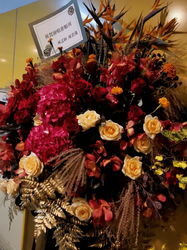 罗志祥成功复出,演唱会一万张门票售罄