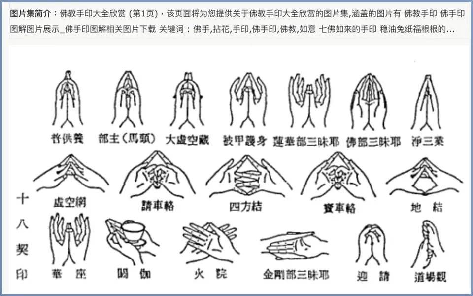 对立之印图片图片