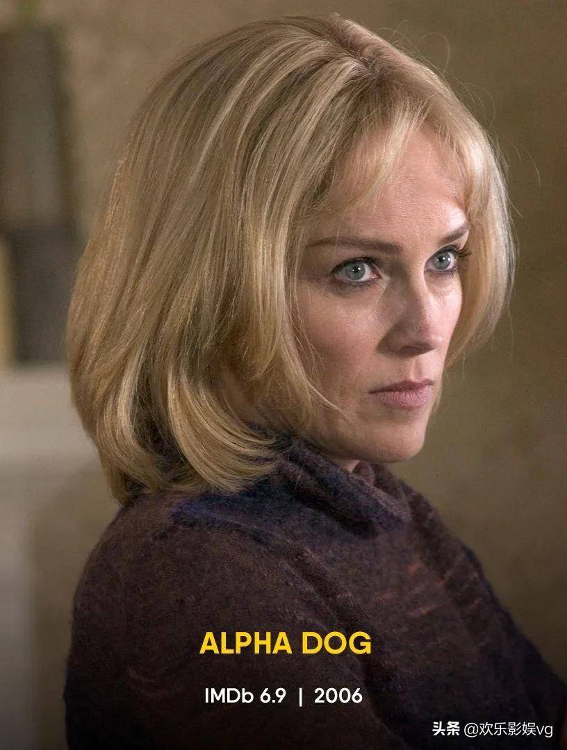 莎朗斯通出演的8部电影你看过没