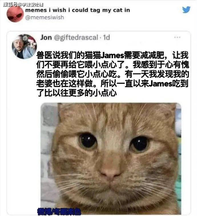 “不小心捅到隔壁大哥的菊花!”对不起,我真的不是故意的…
