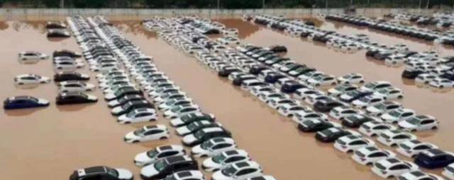 暴雨过后 汽车集体 躺地 车贩子 晒一晒价格翻倍 乐惠车
