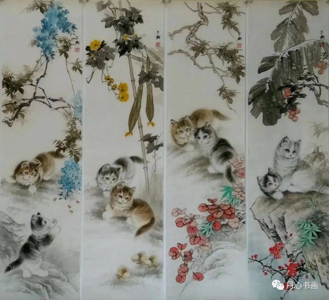 文轩mono猫弄器材室图片