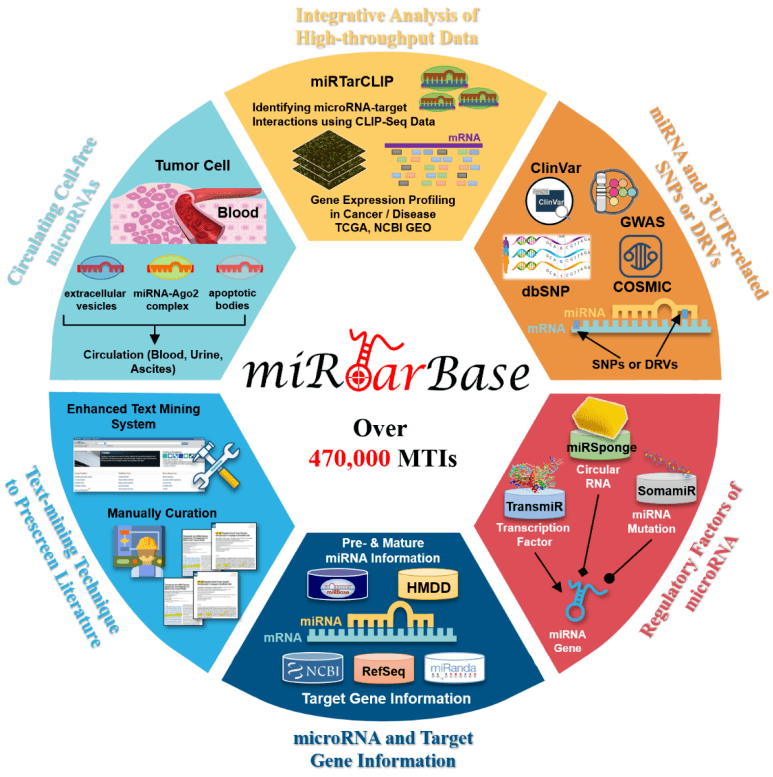 5188seo大数据 搜狐网