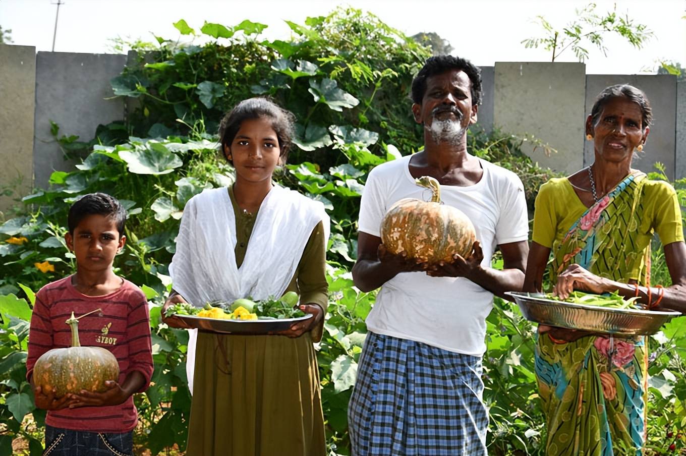 印度正在实施的减少农业生产排放的措施