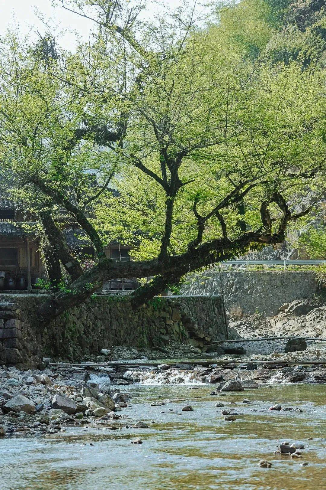 临海尤溪旅游景点图片