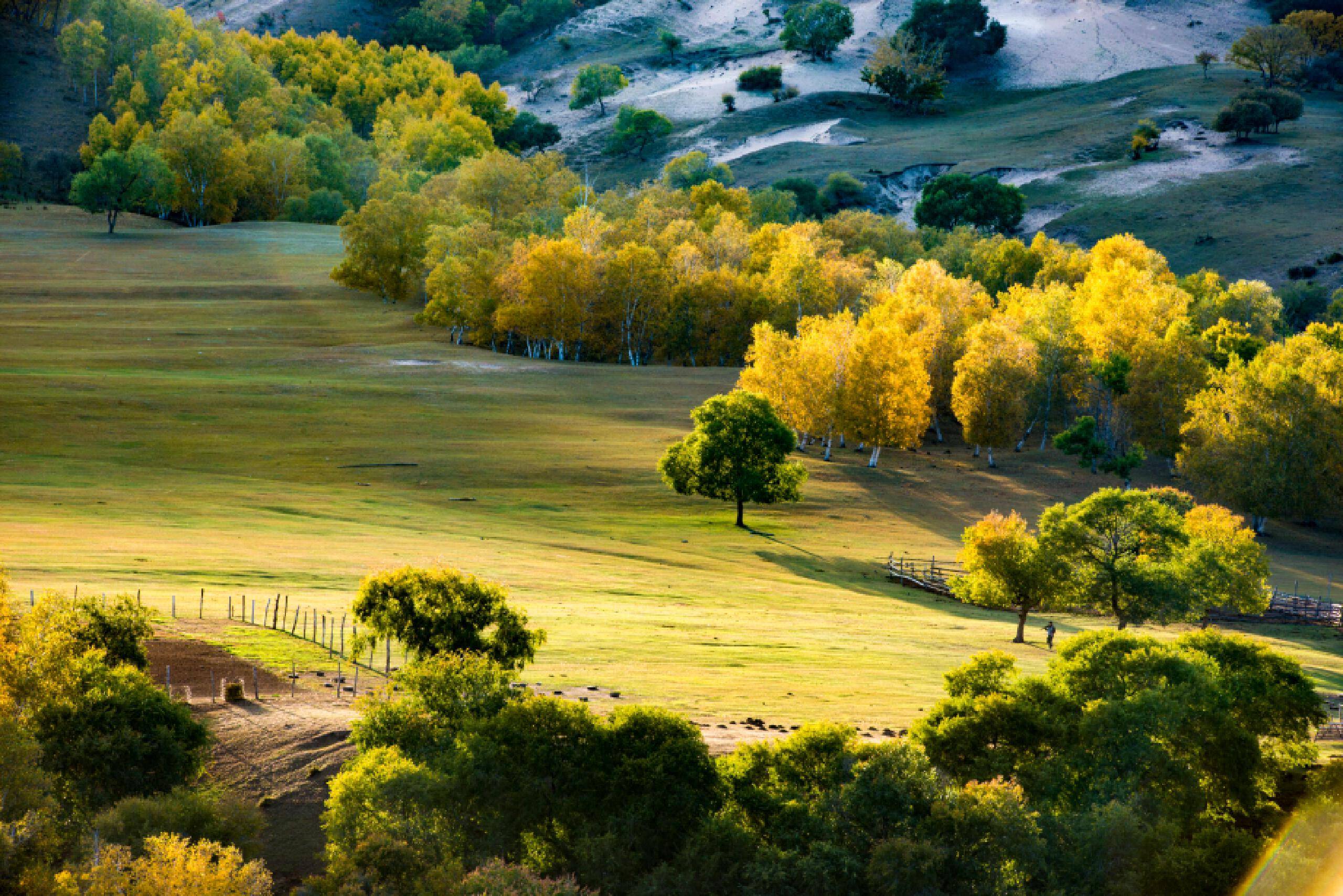 一年之计,莫如树谷;十年之计,莫如树木;终身之计,莫如树人_成长_一个
