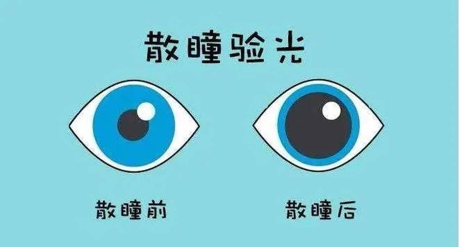 除了睫状肌调节屈光之外,眼睛还要控制瞳孔大小来调节眼底曝光成像等.