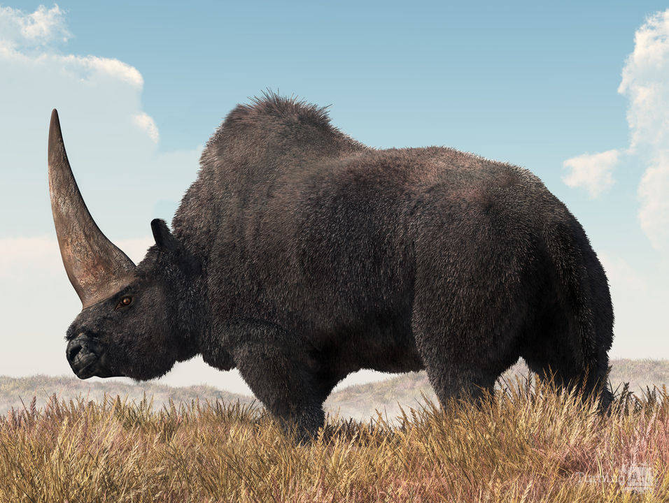 原创冰河世纪已经灭绝的4大猛兽它们都和人类祖先共处过
