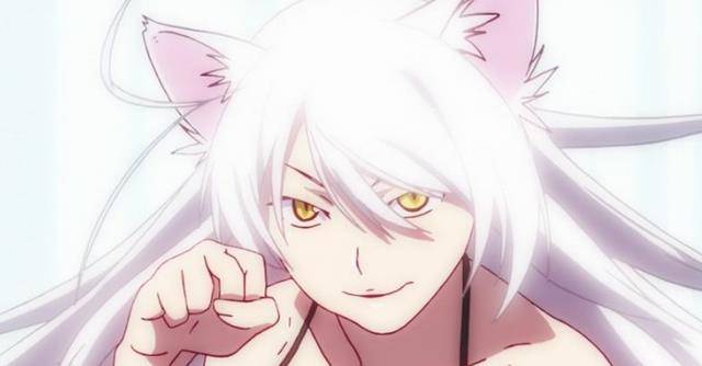 在与障猫结合之后,就成为了羽川翼中的另一个人格——黑羽川