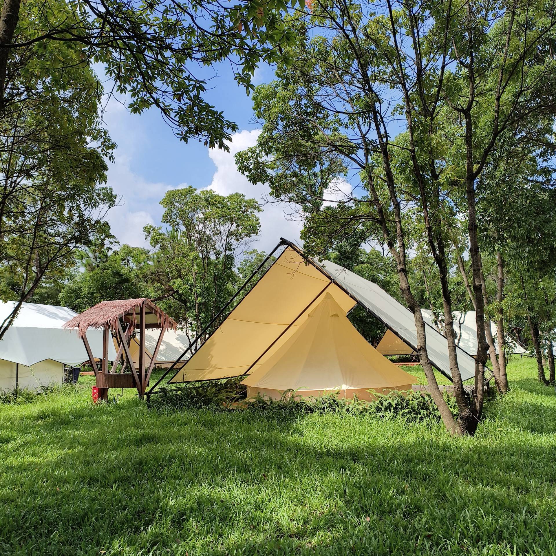 着阳光来一场说走就走的夏日露营之旅 附出行好物推荐_活动_营地_帐篷