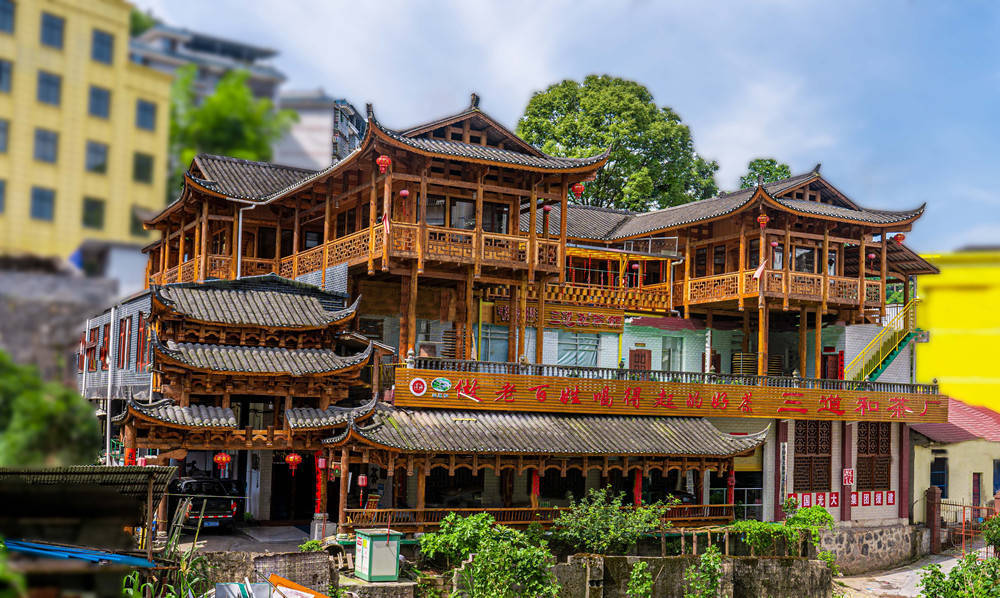 振兴乡镇湖南省古丈县三道和茶厂彭小燕三十年只为一杯茶