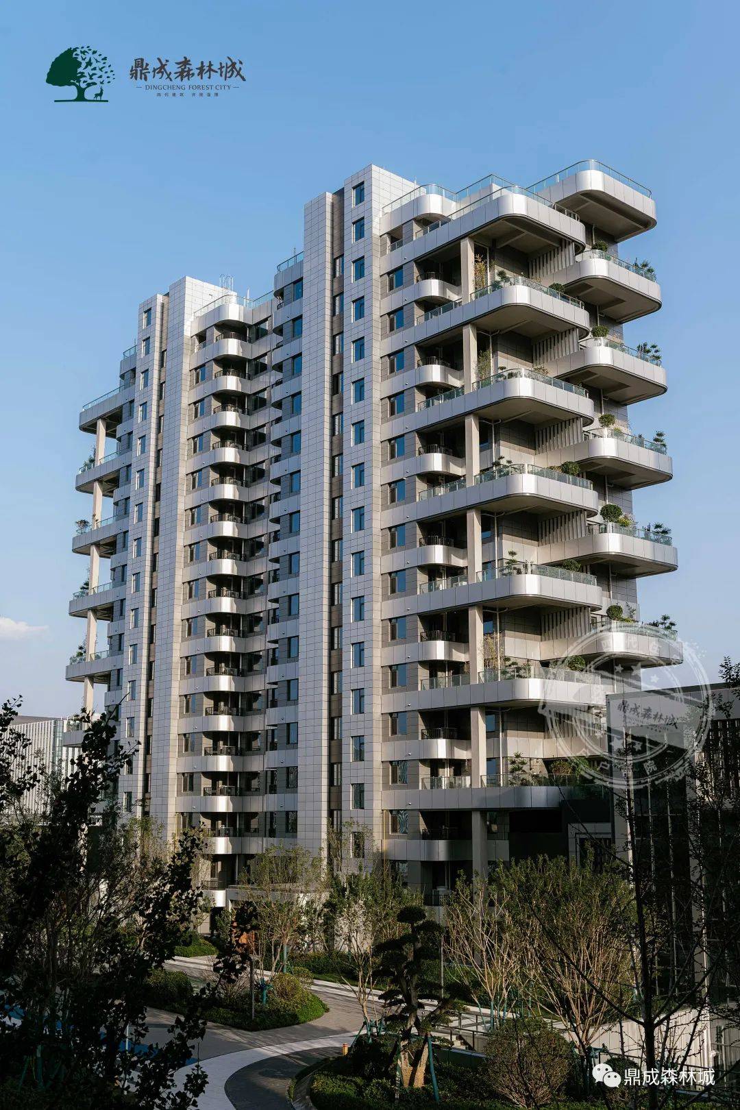 鼎成森林城丨二期180—370㎡央景楼座,新品加推!_生活_实景图_庭院