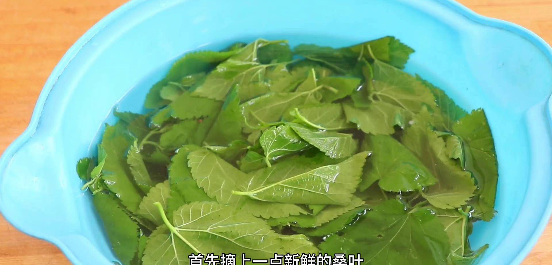 桑叶的作用食用方法图片