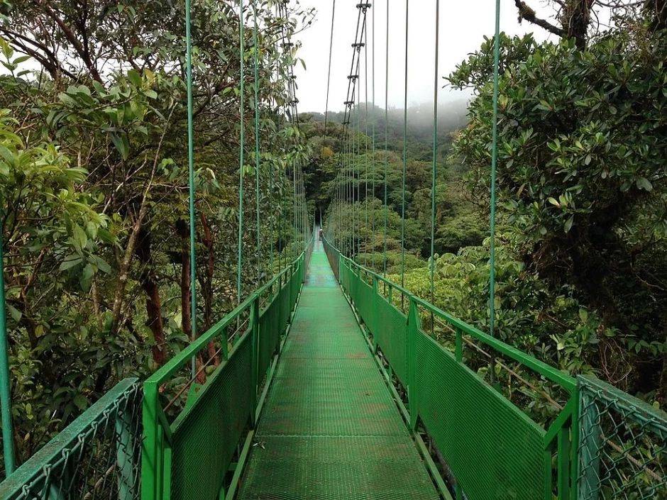 照片中地球上最美丽的地方1,云雾森林,哥斯达黎加的