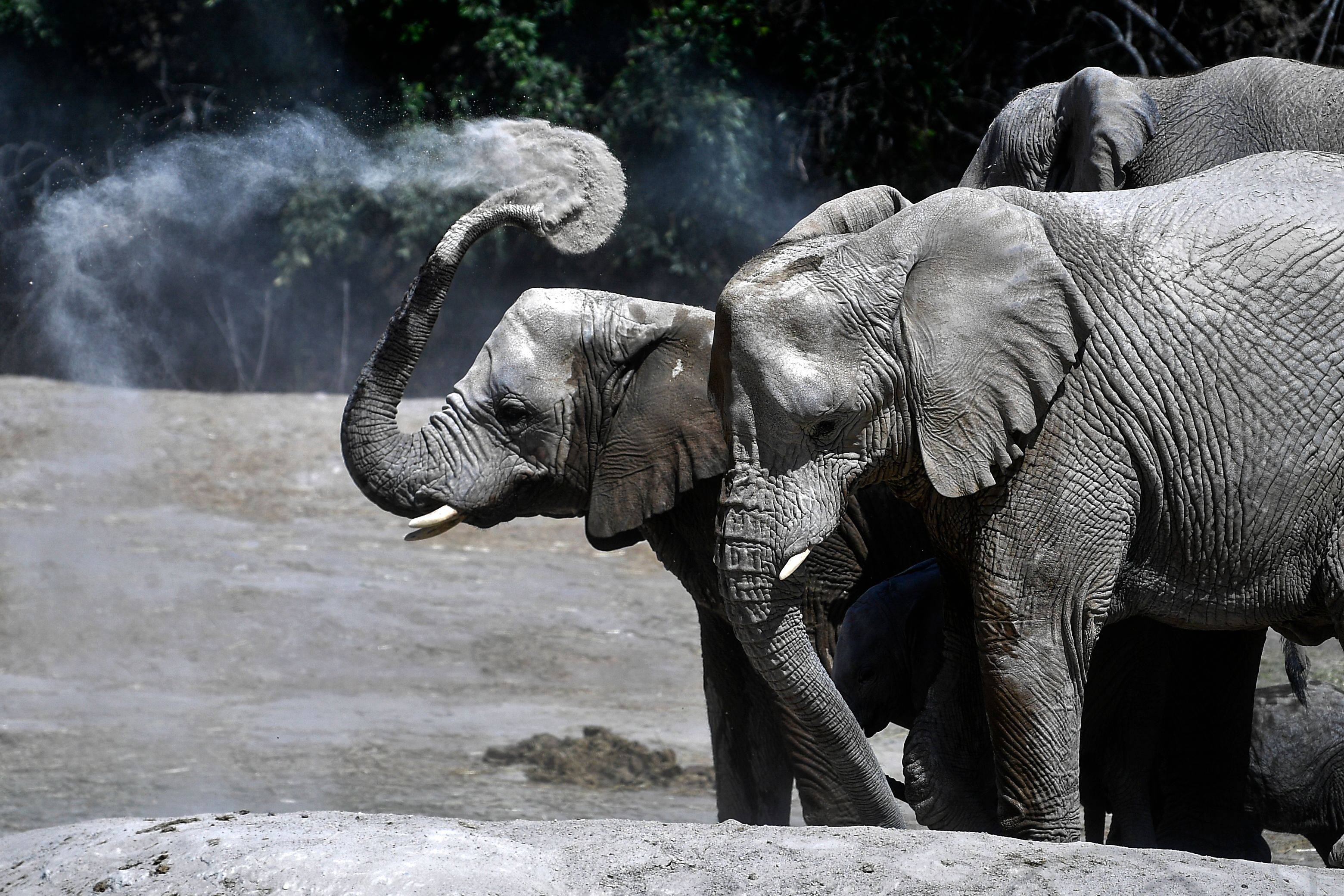 墨西哥的野生动物园_新华社_普埃布拉_外代