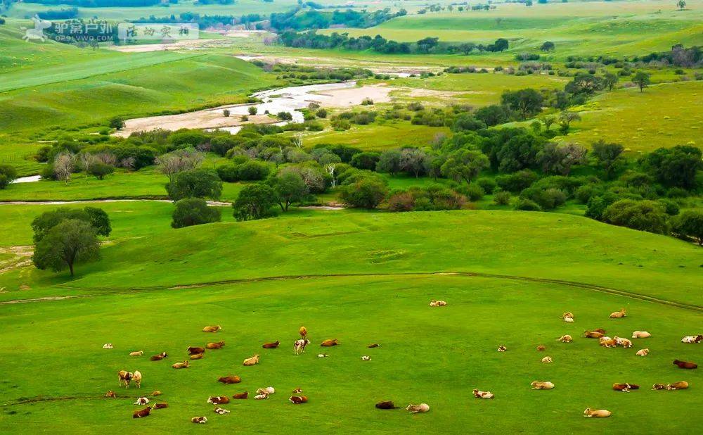 绿了一整个夏天的坝上草原,此刻已到出发季!