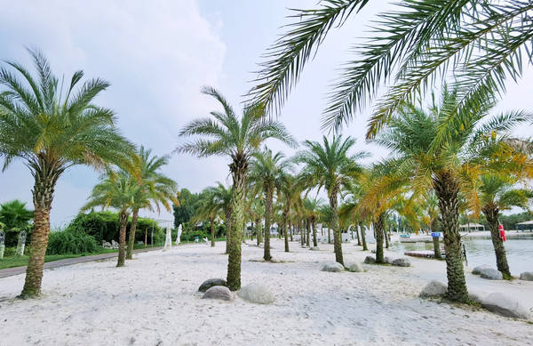 原创想去马尔代夫又去不了德阳中国和海全部满足你