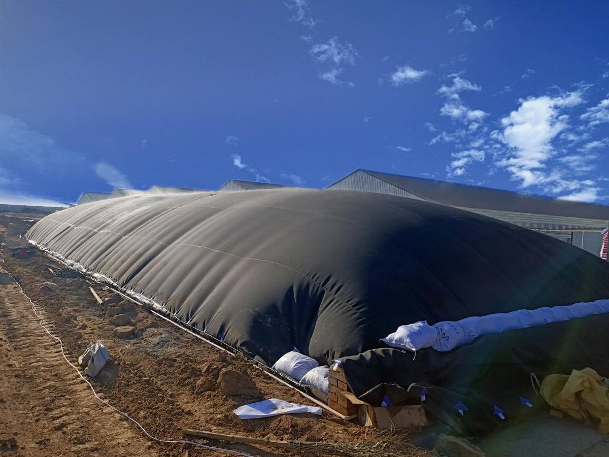 甘肃天水纳米膜好氧堆肥机处理畜禽粪污自动运行处理1吨仅需5元电费