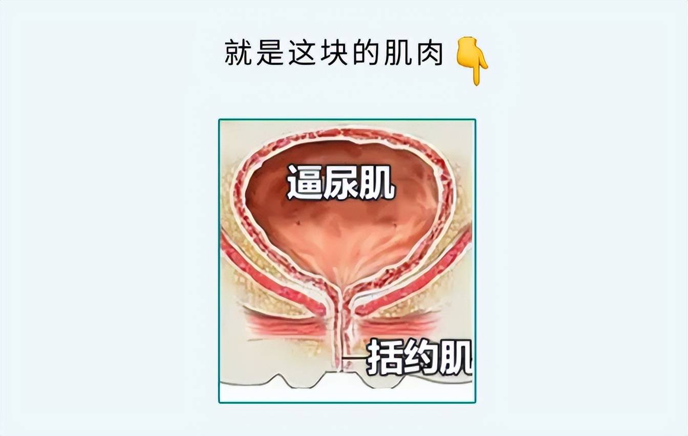 是想尿尿尿的时候还感觉疼多半是感染了女生尤其要注意因为女生尿道短