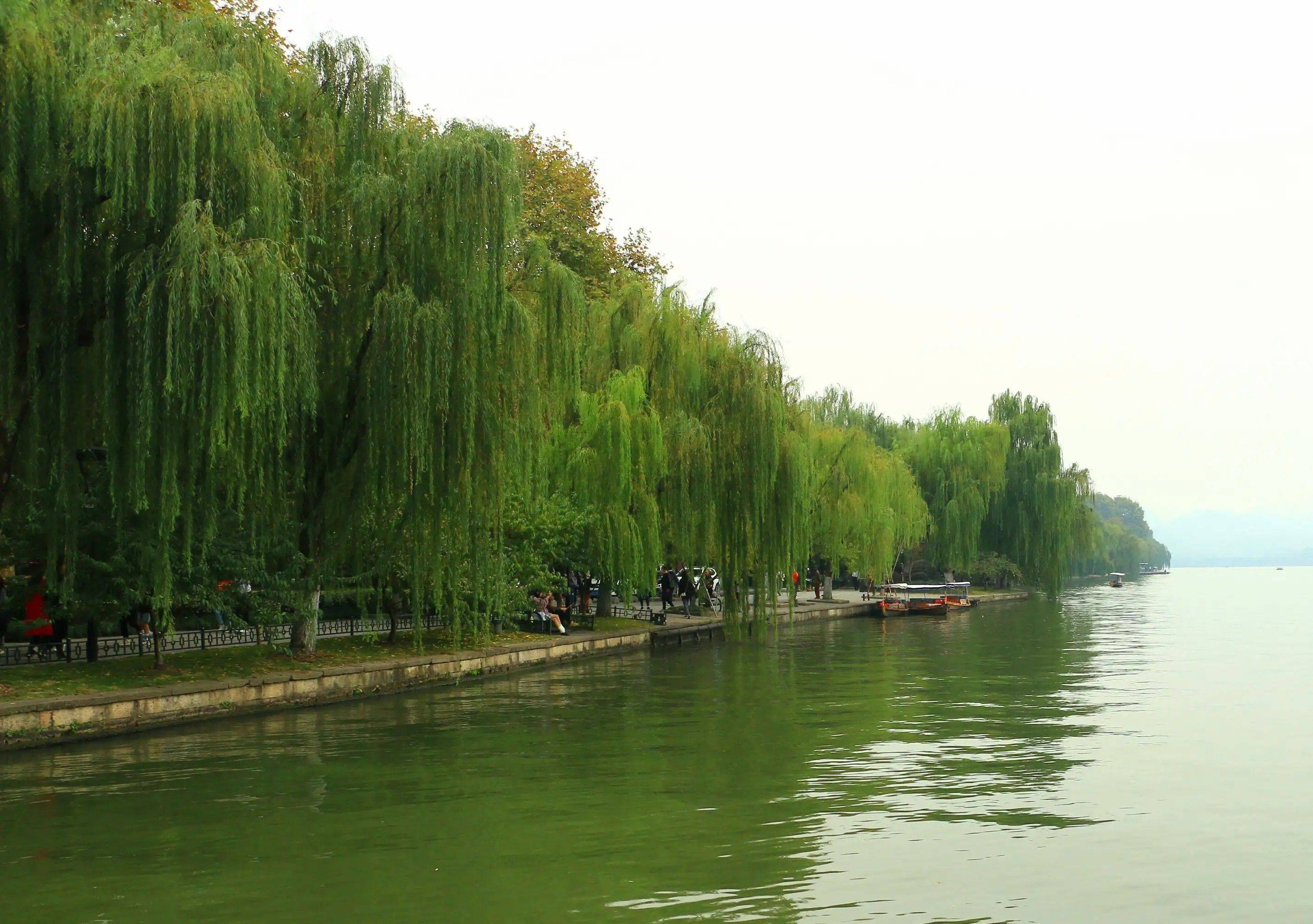 每个景点都体现了自然和人文的融合_景色_苏堤春晓_白堤