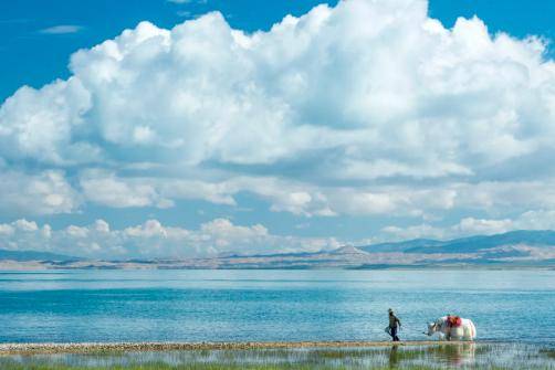 4635平方公里！青海这一湖泊，位于青藏高原，可欣赏5大景点！
