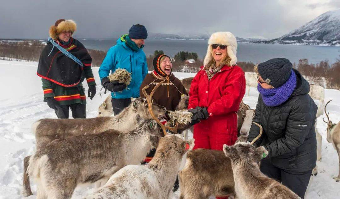 养羊,驯鹿游牧和毛皮狩猎为生芬兰北部的萨米人(sámi)也就是现代芬兰
