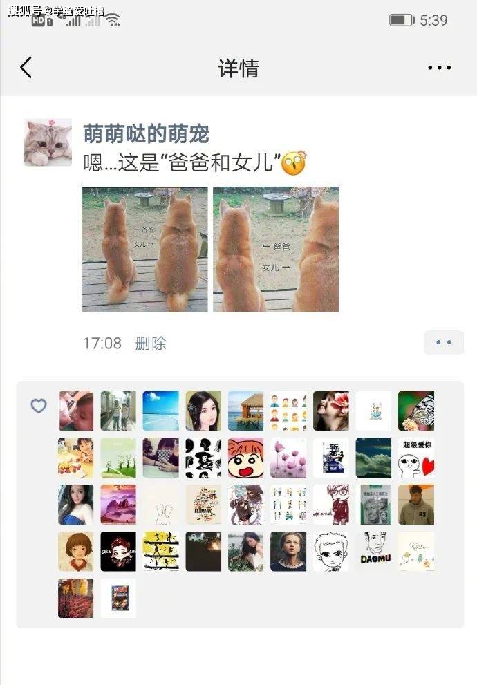 原创
“昨晚和喜欢的女生看电影,做了一件很浪漫的事,结果她把我拉黑了?”