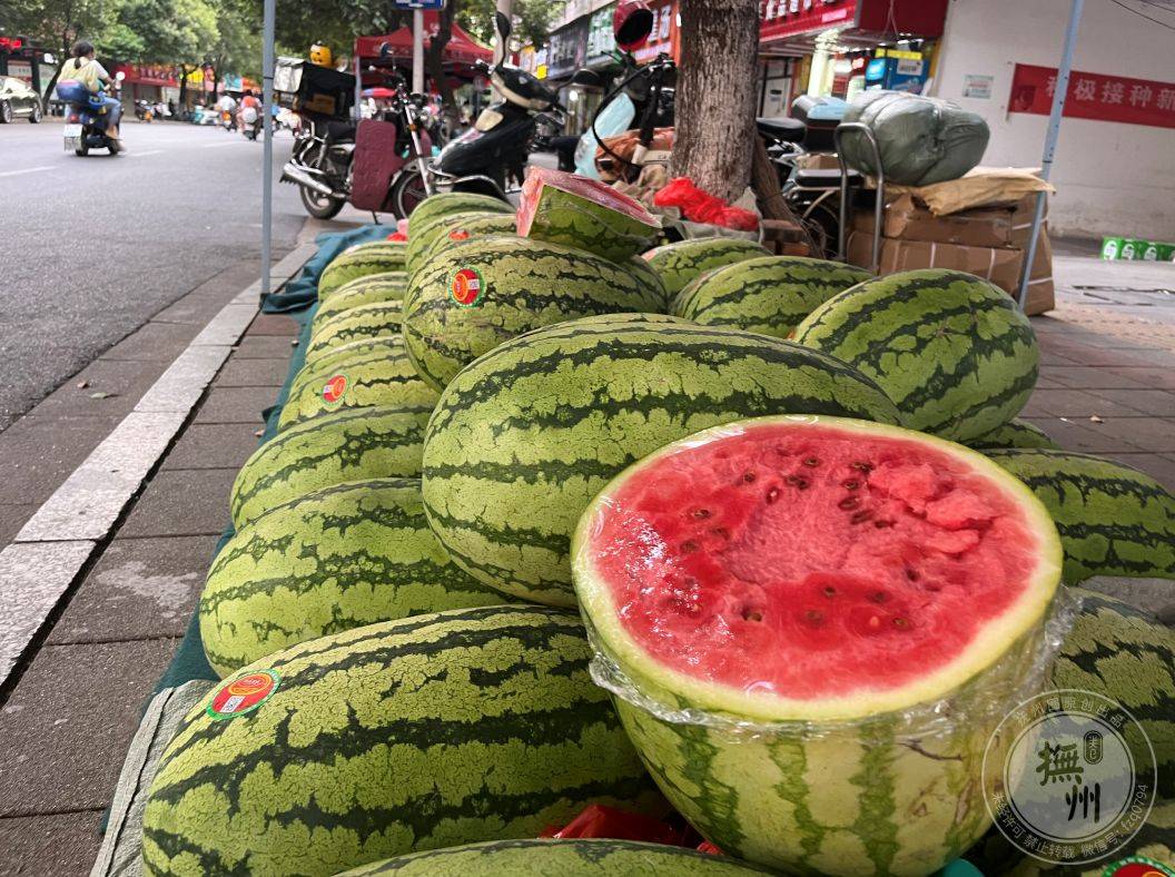 每逢盛夏抚州的大街上就多出了一道风景线—西瓜摊,摊主们都是来自