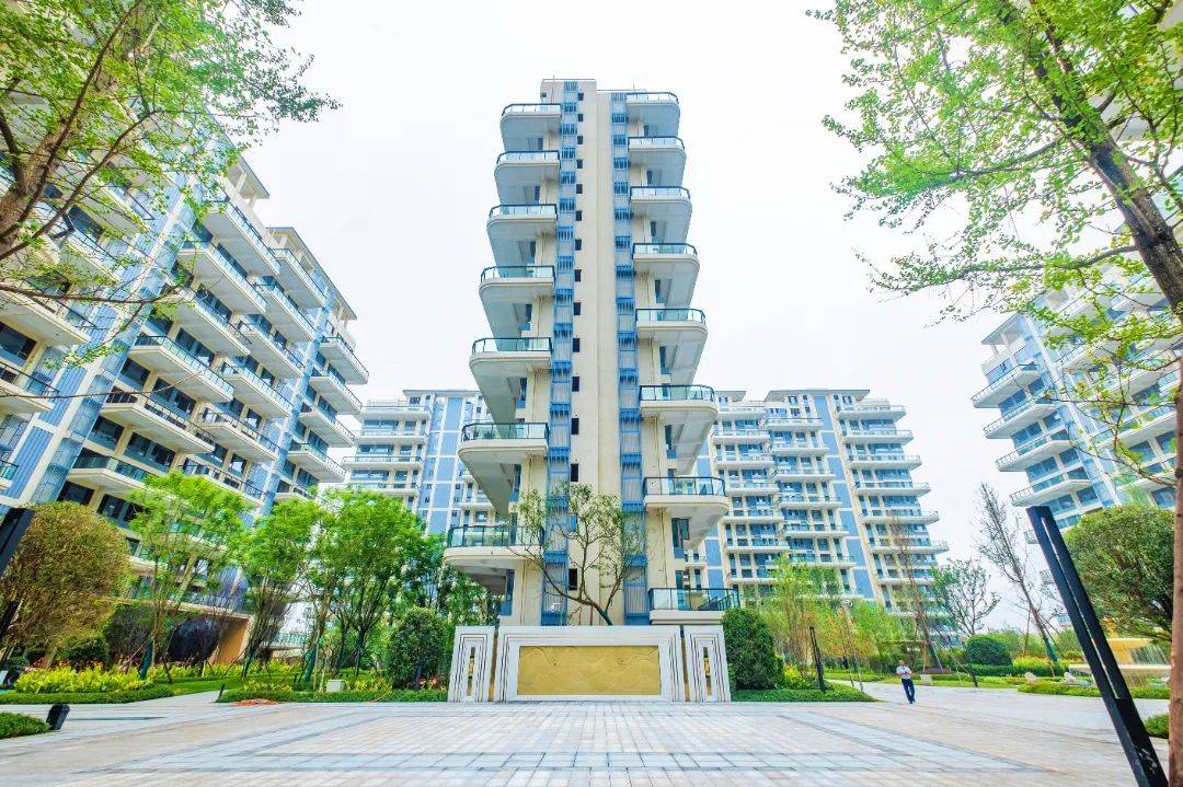 实景呈现共鉴佳期遂宁佳乐世纪城莲韵二区工地开放活动圆满完成